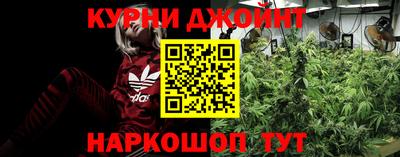 крисы Кулебаки