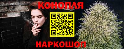 крисы Кулебаки