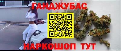 крисы Кулебаки