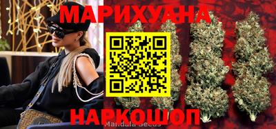 apvp Кунгур
