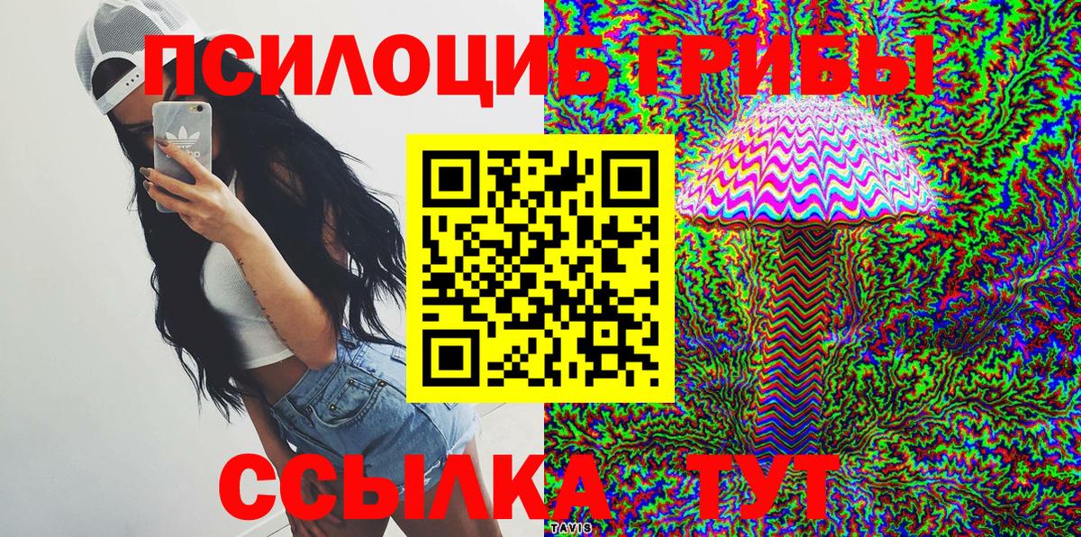 закладка  Вход с VPN  Гусь-Хрустальный  Псилоцибиновые грибы прущие грибы 