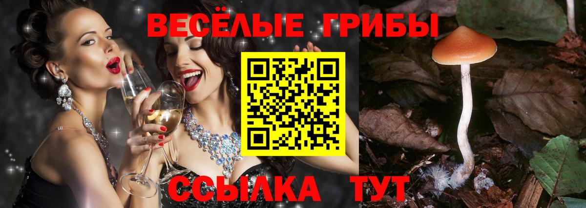 Галлюциногенные грибы ЛСД Гусь-Хрустальный
